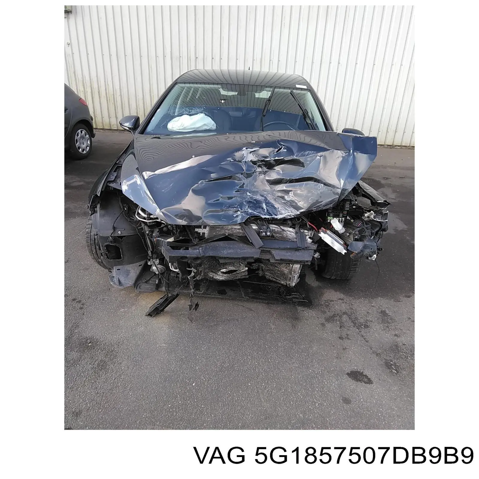 Купити VVGM1059PL Signeda Корпус дзеркала заднього виду, лівого