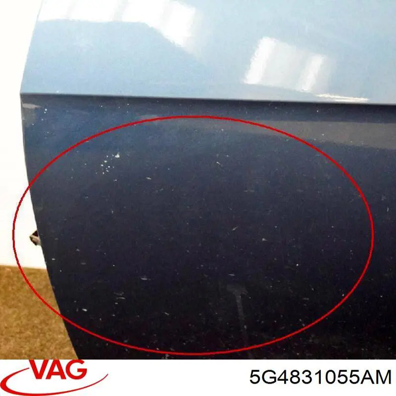 5G4831055AM VAG Дверь передня ліва