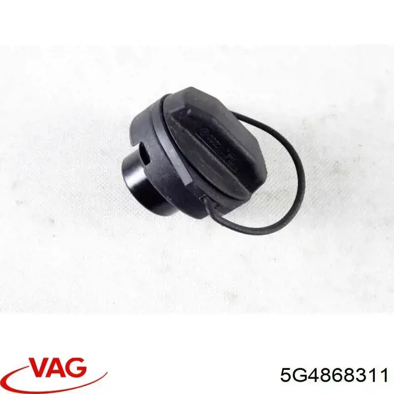 5G4868311 VAG 