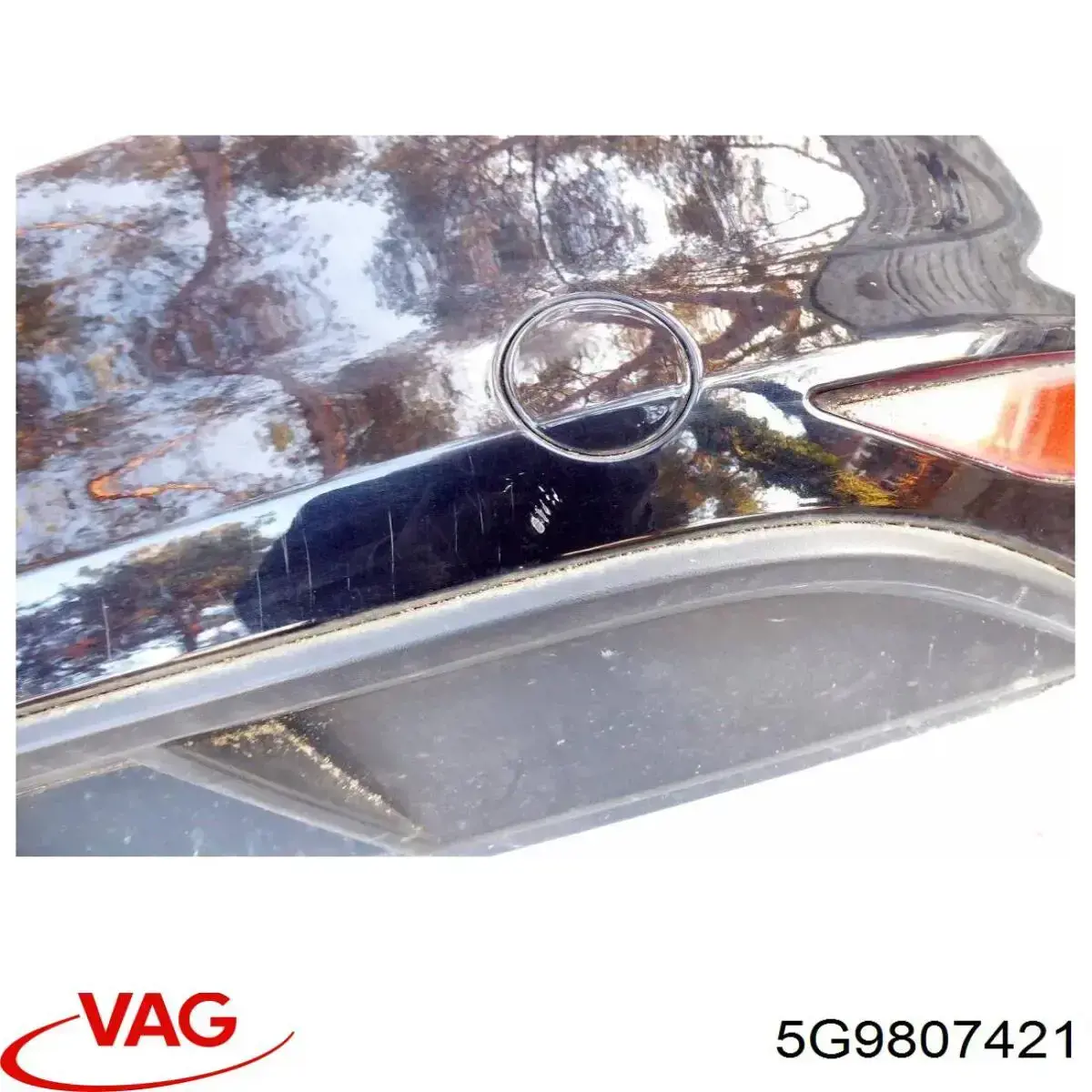  5G9807421 VAG
