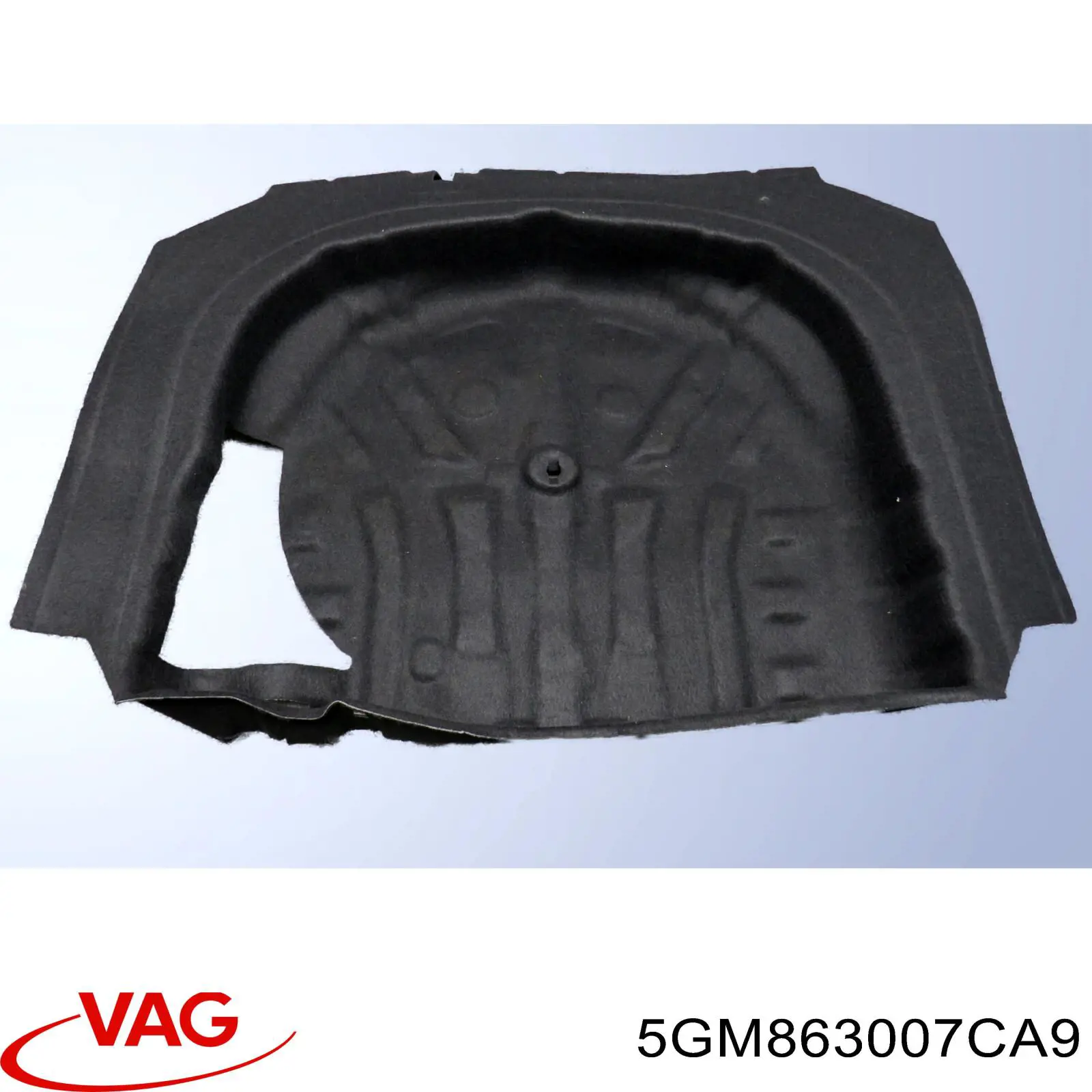 5GM863007CA9 VAG 