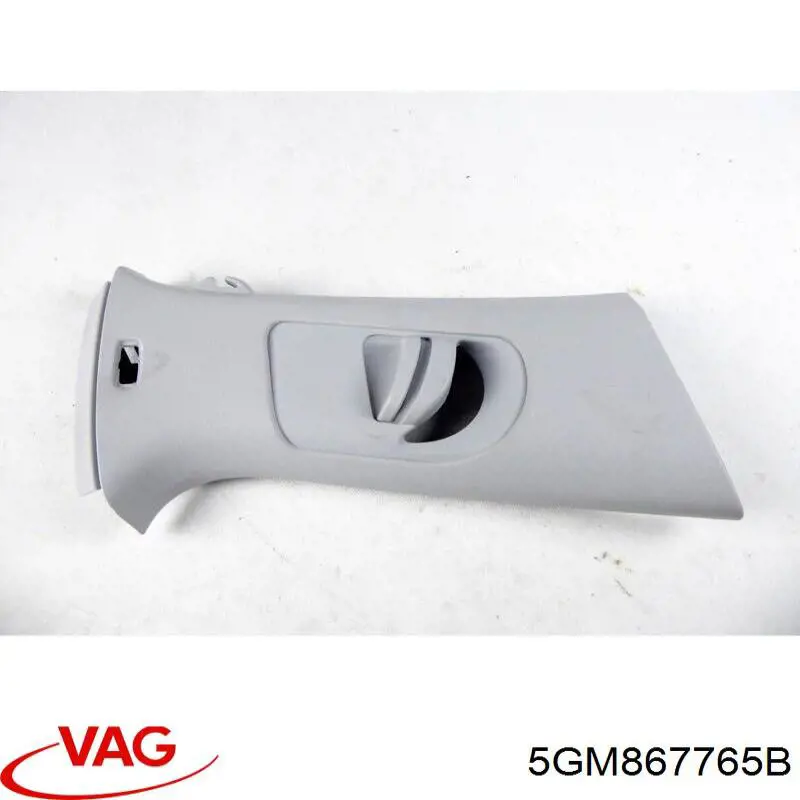 5GM867765B VAG 