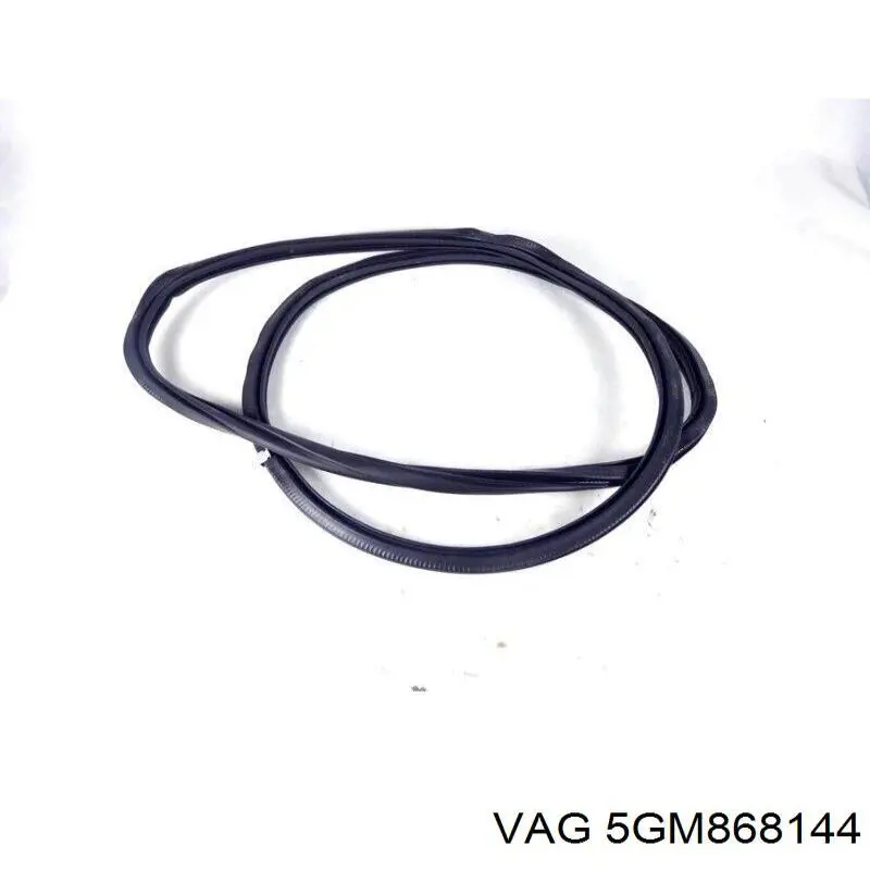 Купити 5GM868144 VAG 