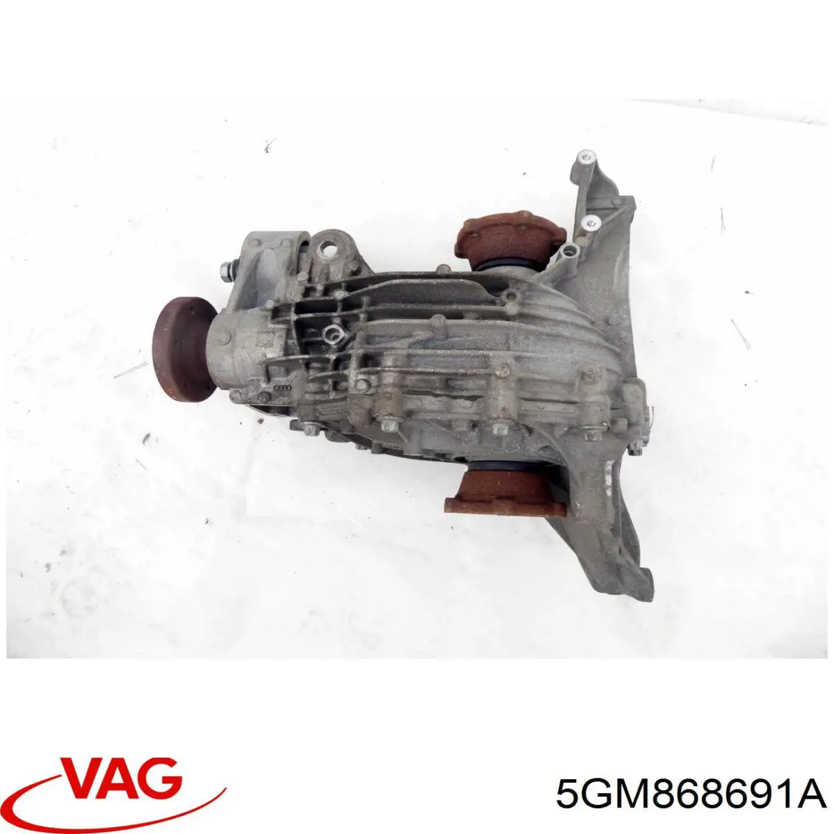  5GM868691A VAG