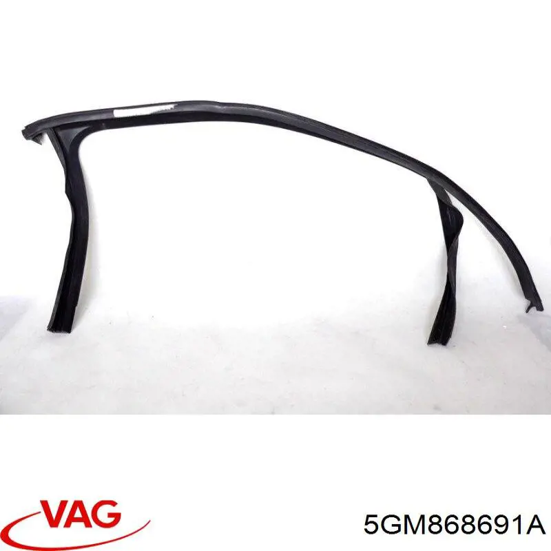  5GM868691A VAG