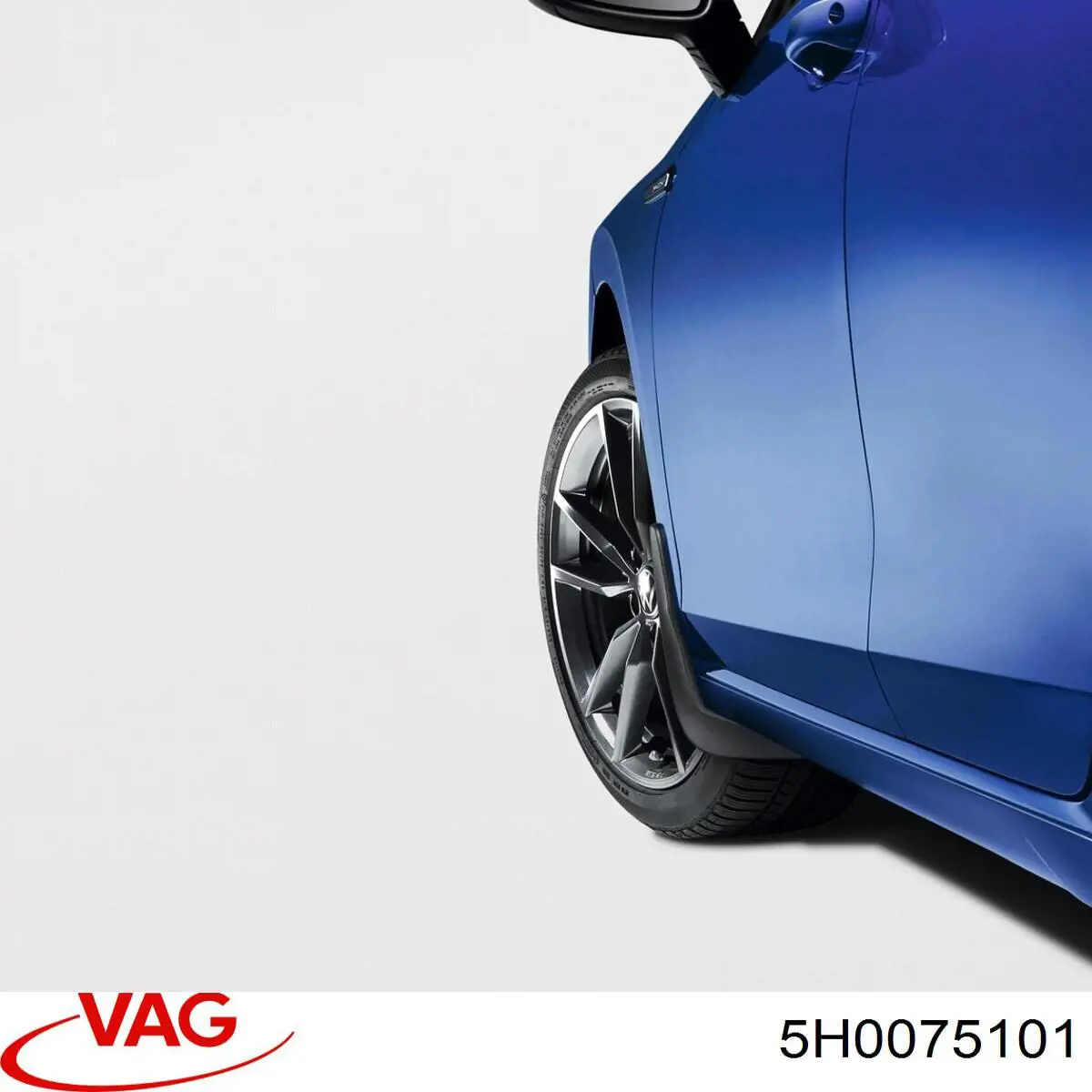 5H0075101 VAG 