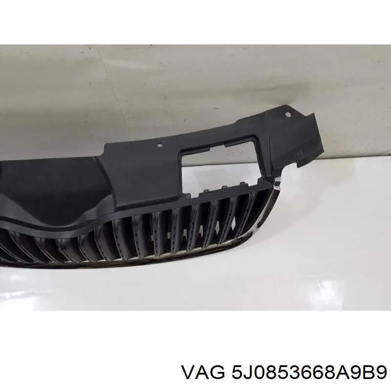 Решетка радиатора на Skoda Fabia 5J5, 545