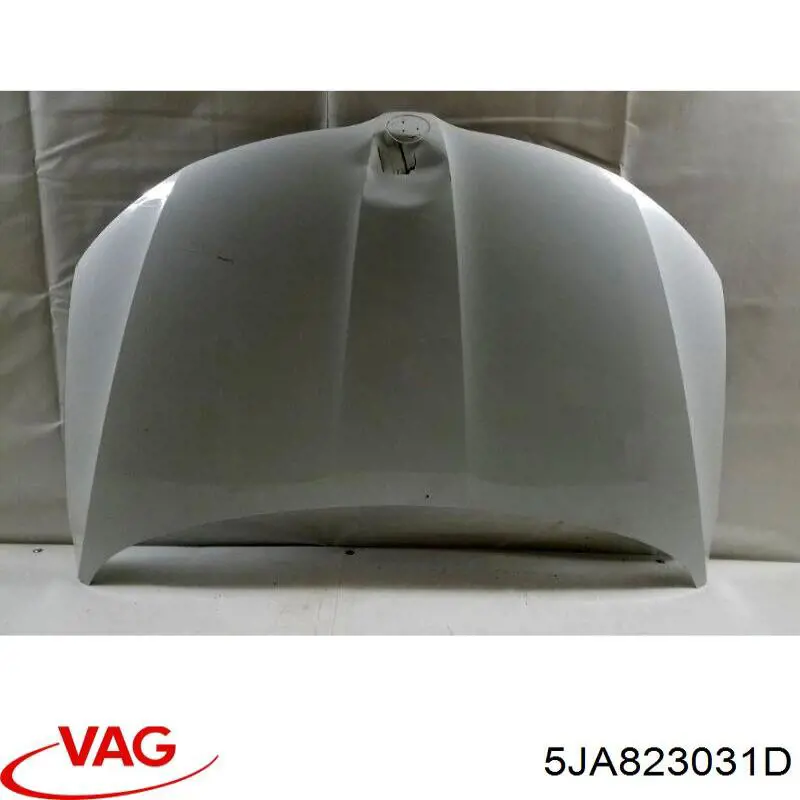 Капот VAG 5JA823031D ціна, від 101.48 USD