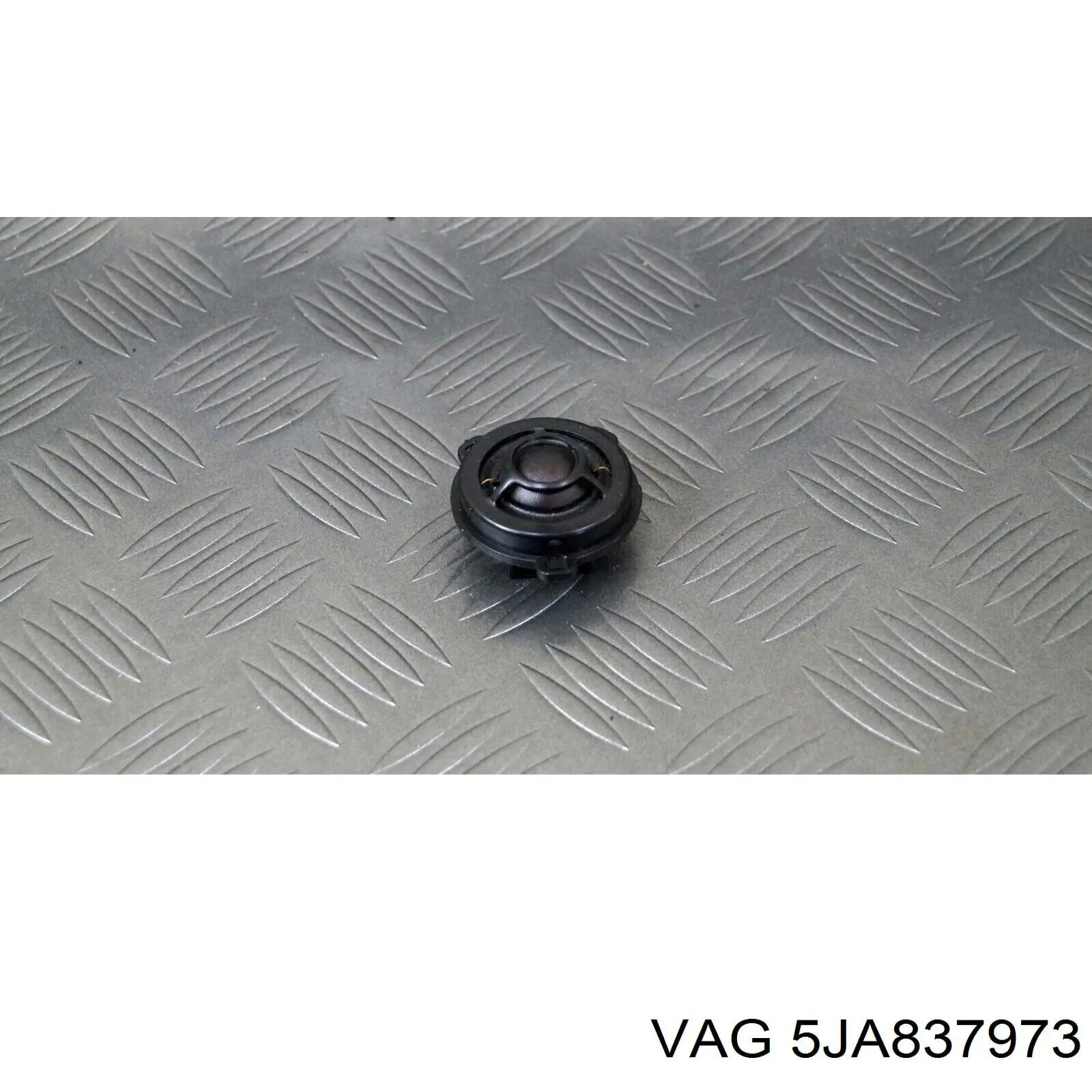5JA837973 VAG 