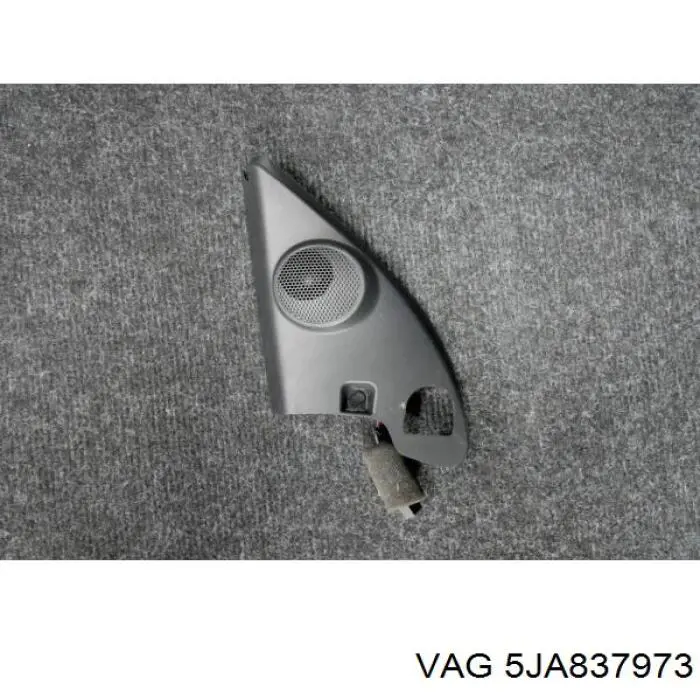 5JA837973 VAG 