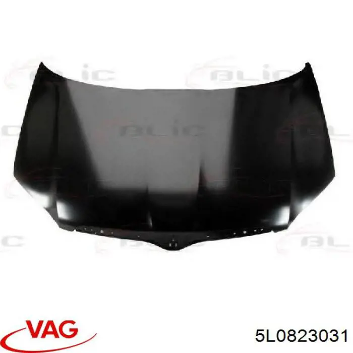 Капот VAG 5L0823031 ціна, від 147.04 USD