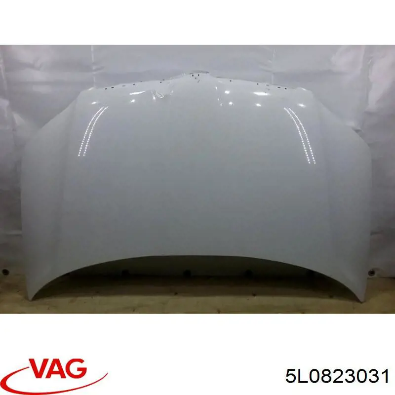 Купити 5L0823031 VAG Капот