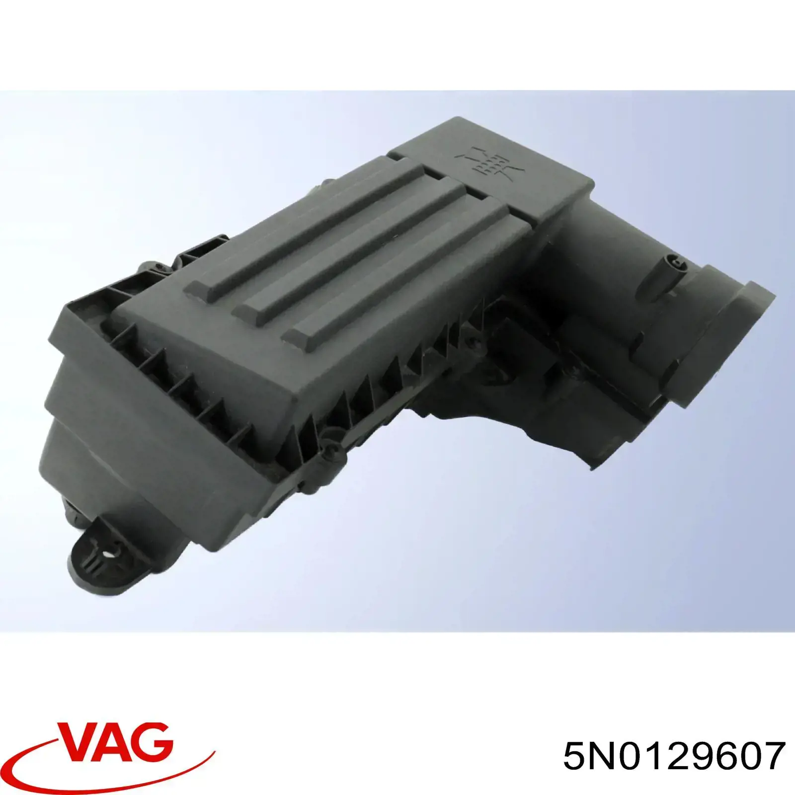 5N0129607 VAG Коробка фільтра