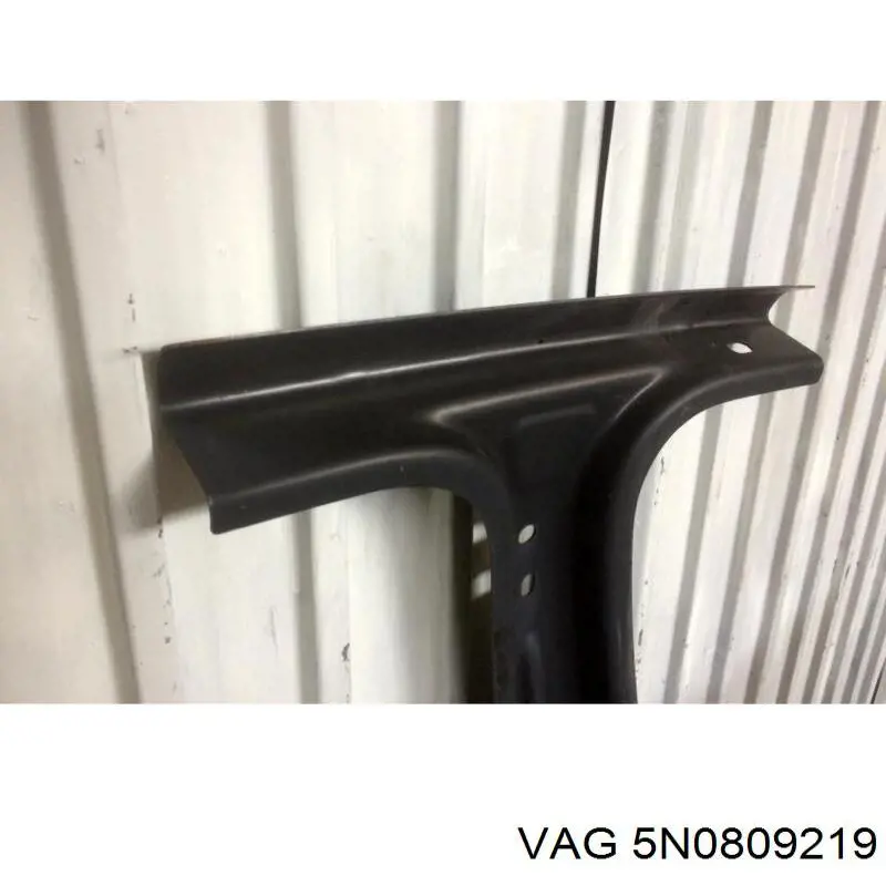 5N0809219 VAG 