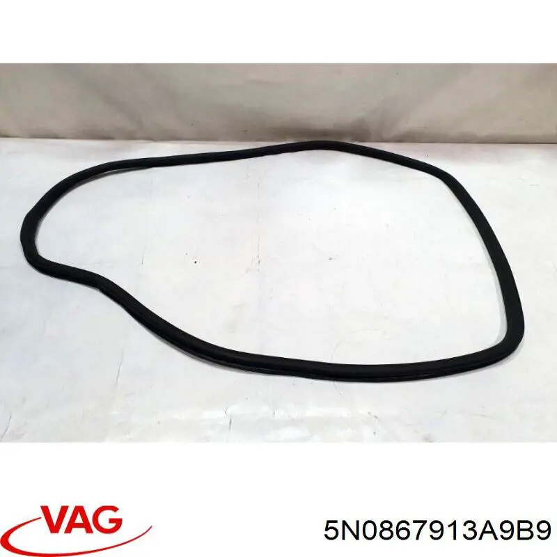 Ущільнювач двері задньої (на кузові) 5N0867913A VAG