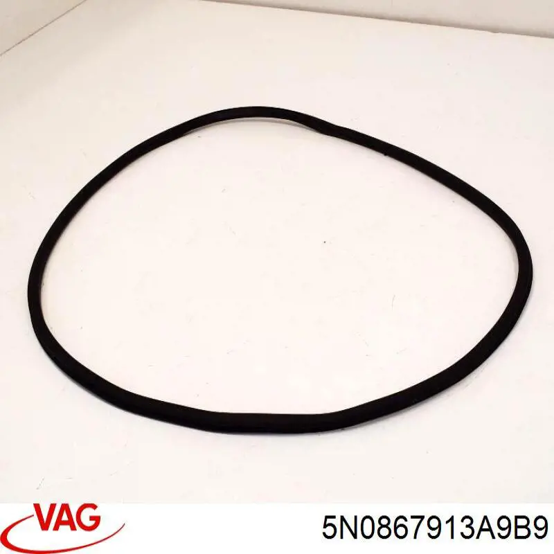 5N0867913A VAG Ущільнювач дверей задніх, (на кузові)