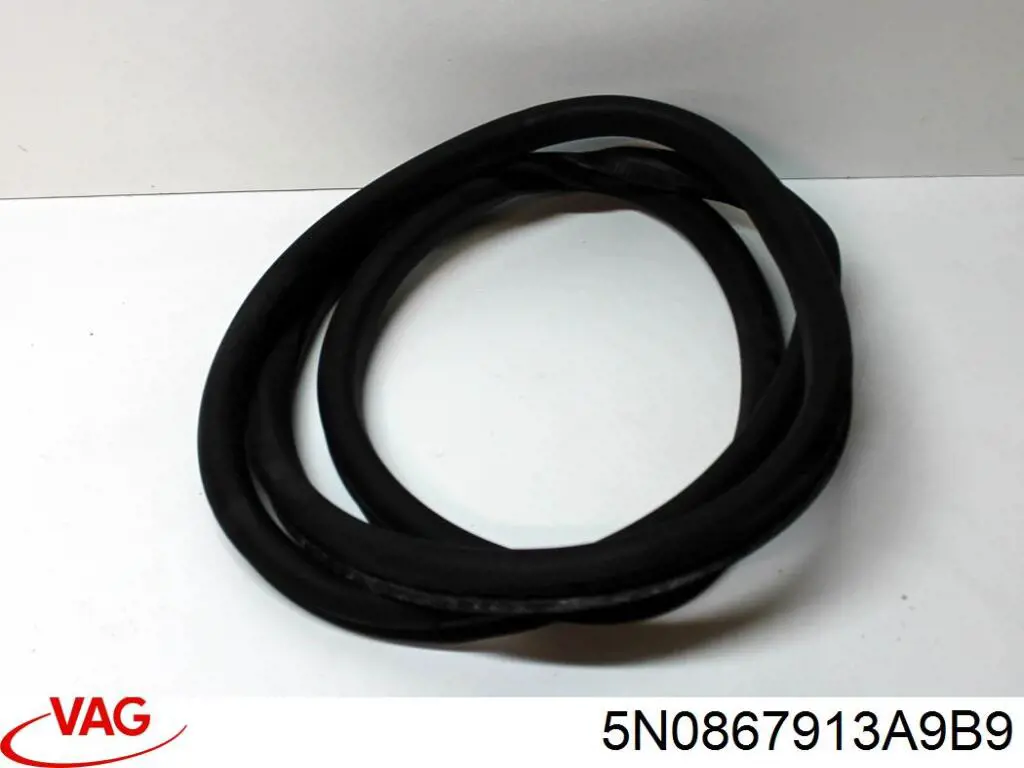 Купити 5N0867913A VAG Ущільнювач двері задньої (на кузові)