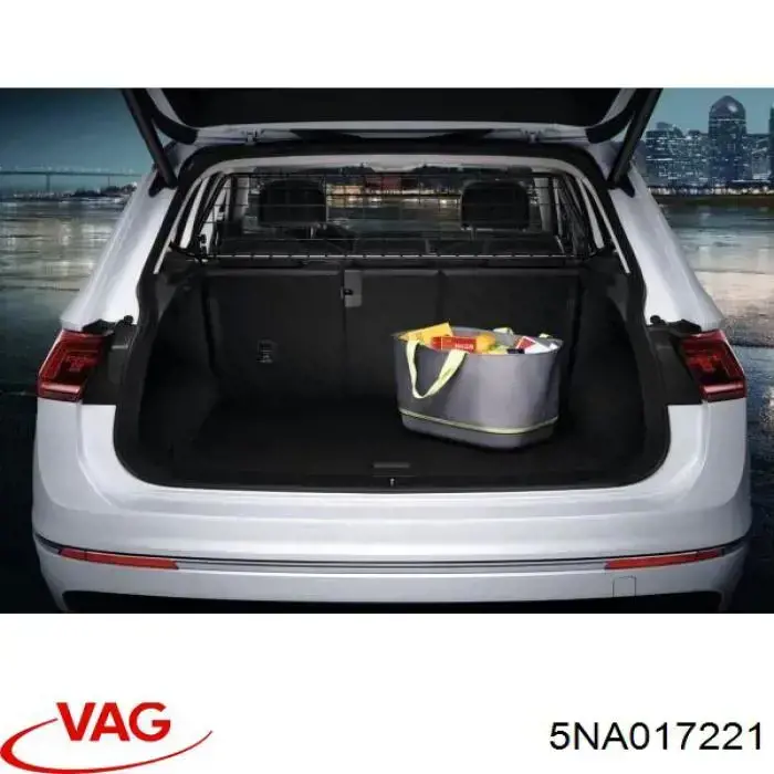 5NA017221 VAG 