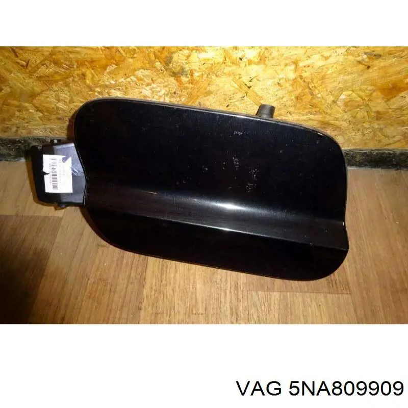 5NA809909 VAG 