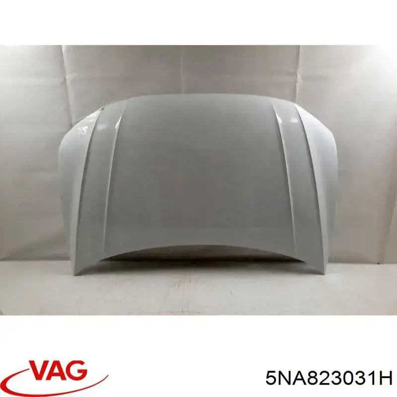 Капот Volkswagen Tiguan II позашляховик (AD1, AX1, BT1, BT2) (2016 - 2026) ціна, від 144.48 USD