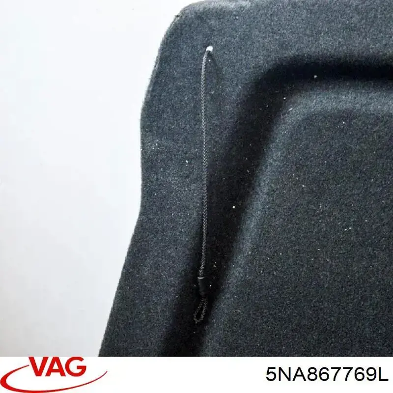 Купити 5NA867769L VAG 