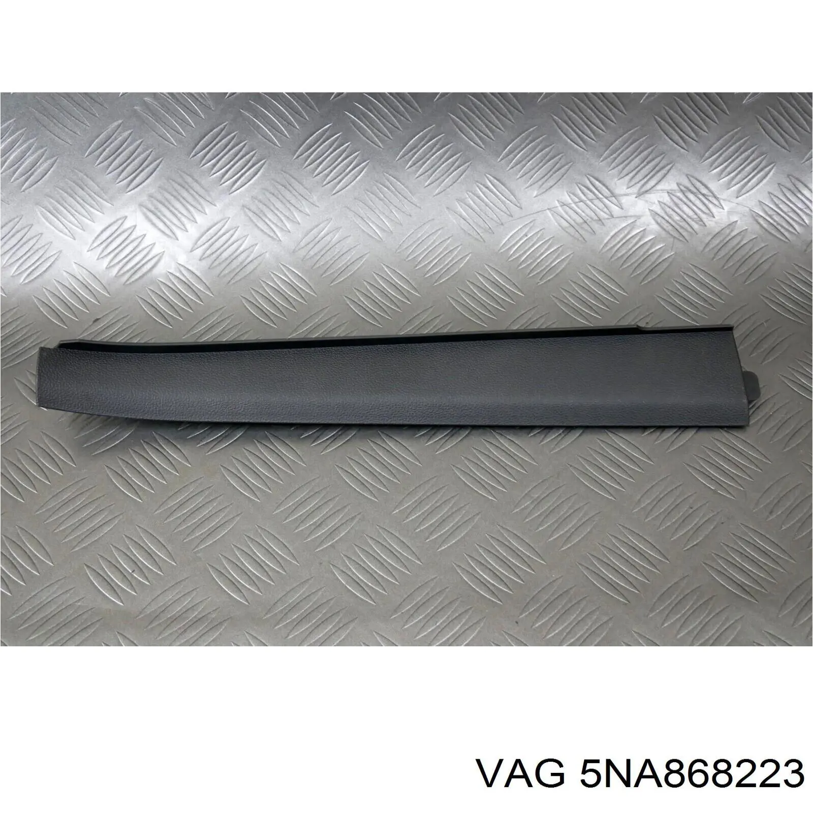5NA868223 VAG 