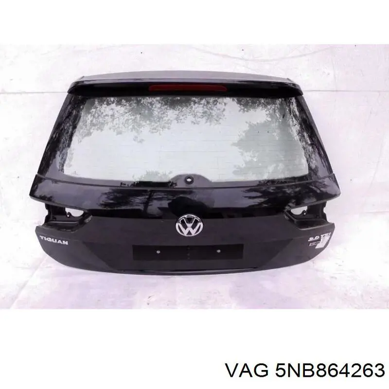 5NB864263 VAG 
