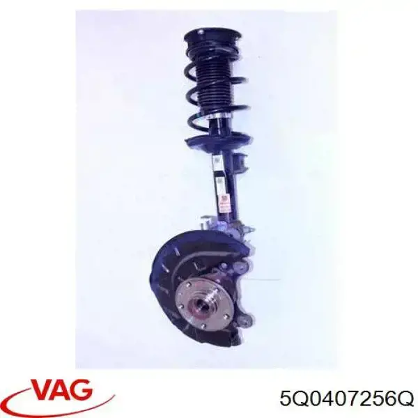 Купити 5Q0407256Q VAG Цапфа передні праві