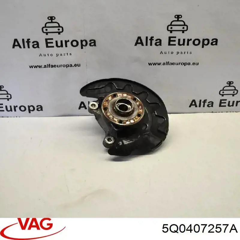 Купити 5Q0407257A VAG Цапфа передня ліва
