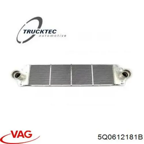 Купити 5Q0612181B VAG Вакуумний насос