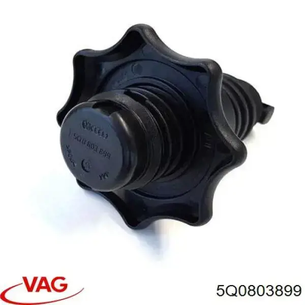 Купити 5Q0803899 VAG Болт