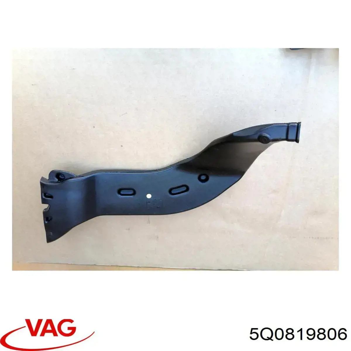5Q0819806 VAG 