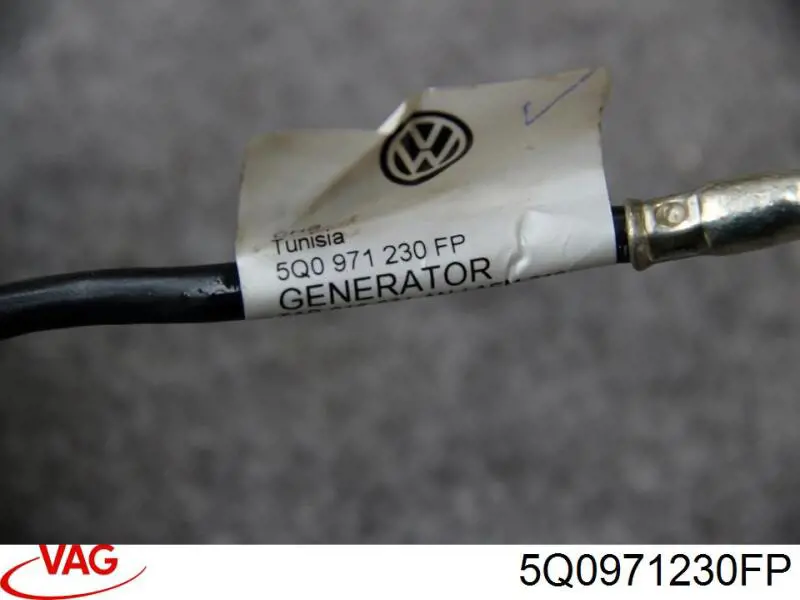  VAG 5Q0971230FP