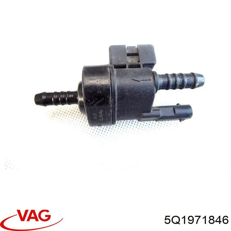 5Q1971846 VAG 