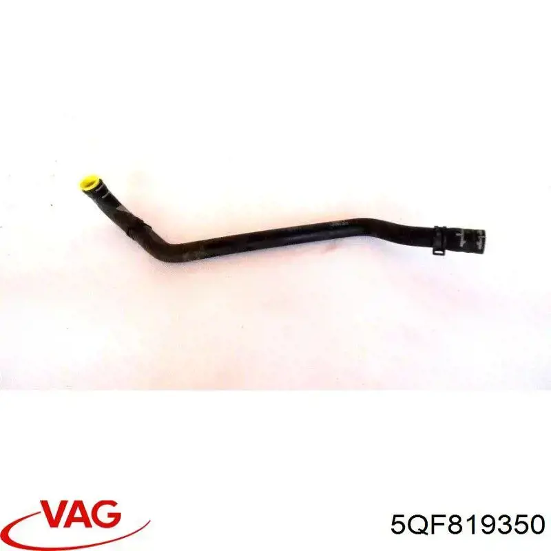 5QF819350 VAG 