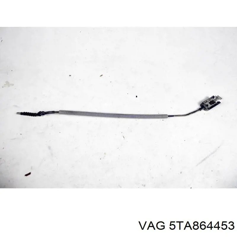  VAG 5TA864453