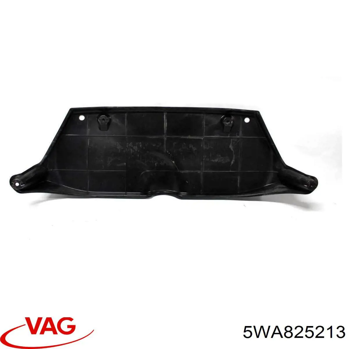 5WA825213 VAG 