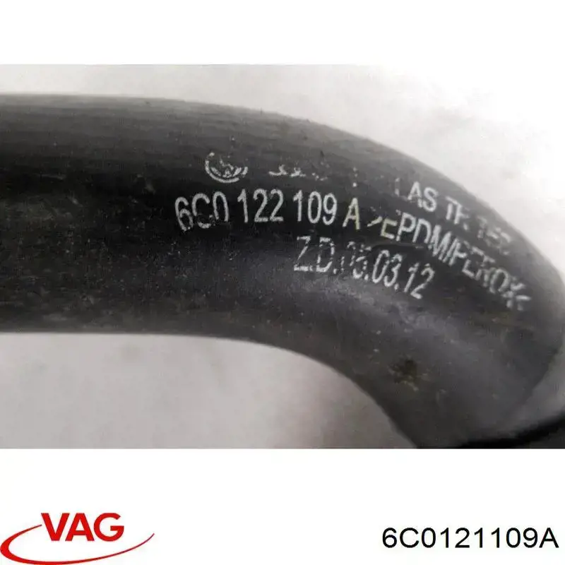 6C0121109A VAG 