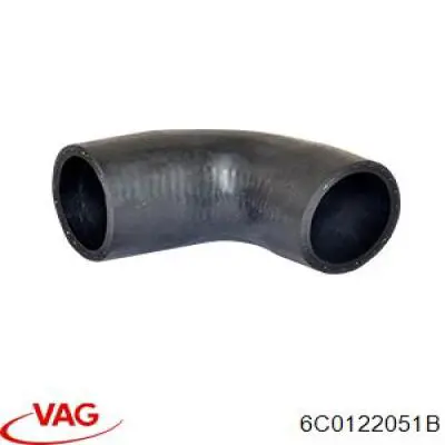 6C0122051B VAG 