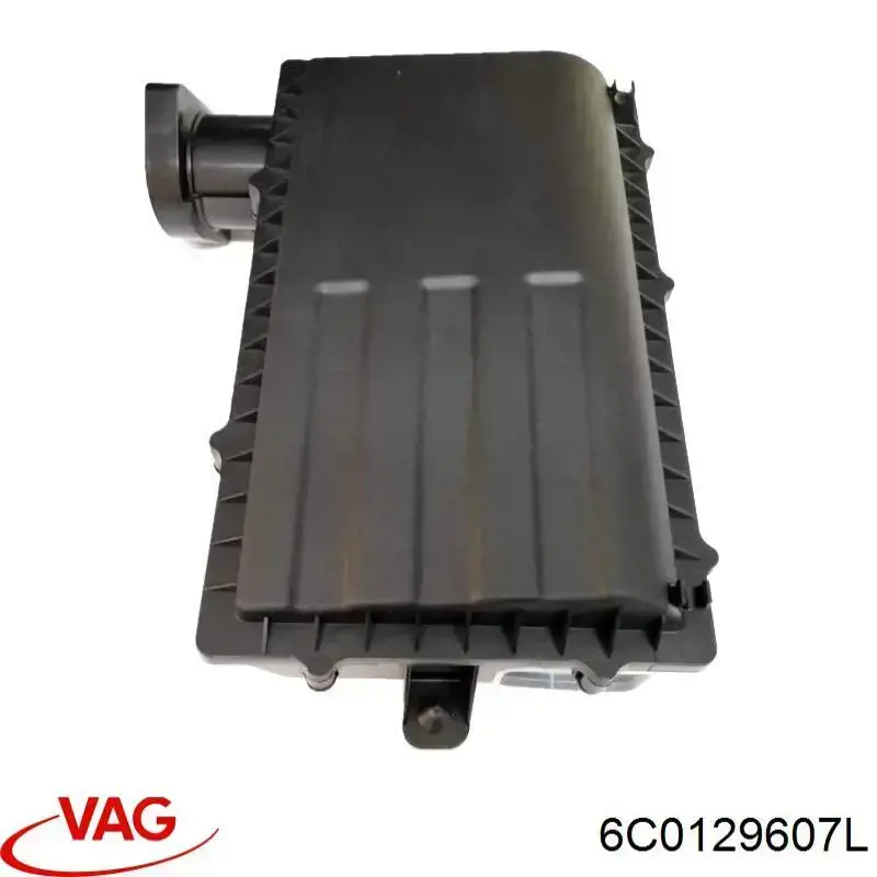 6C0129607L VAG 