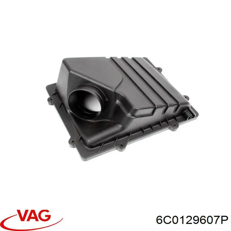6C0129607P VAG 