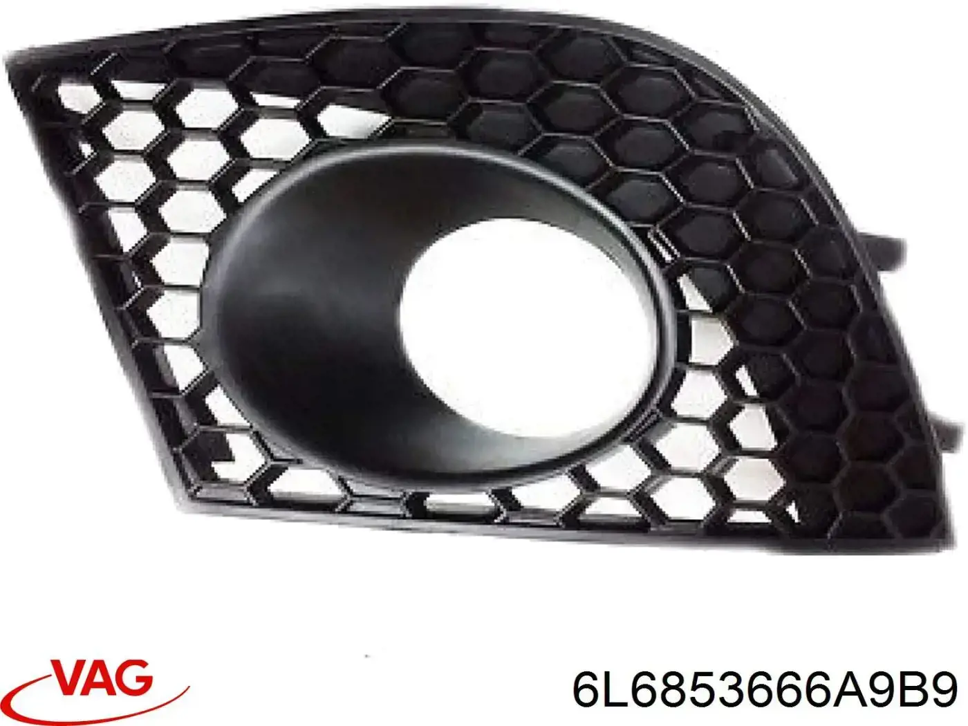 6L6853666A VAG Заглушка протитуманки передньої правої