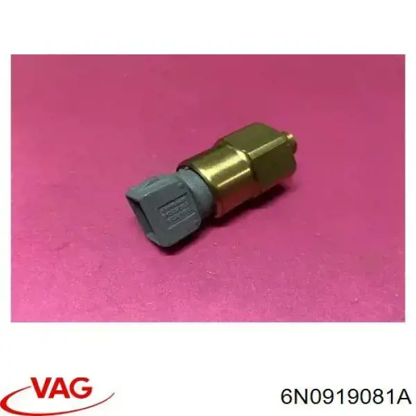  6N0919081 VAG