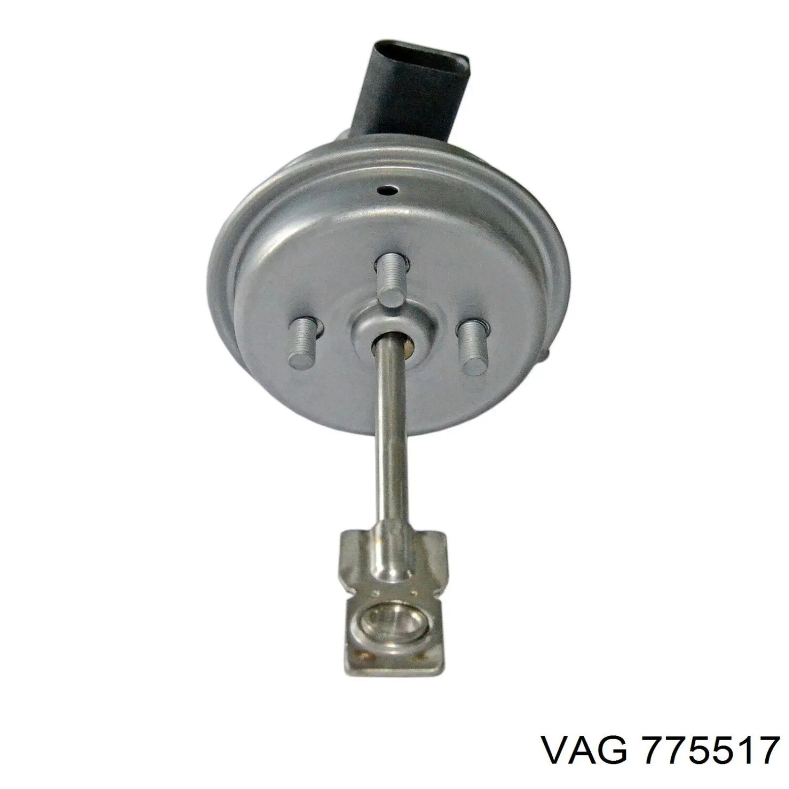 775517 VAG 
