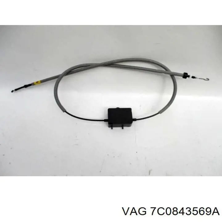 7C0843569A VAG 