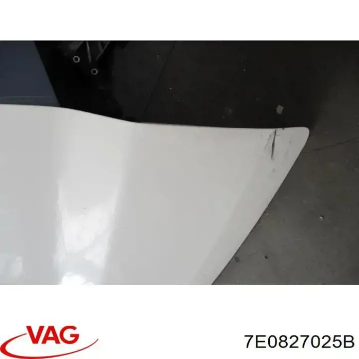  Ляда Volkswagen Multivan 