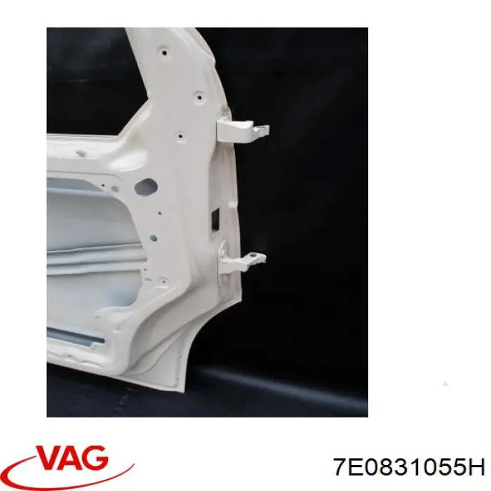 Двері передні, ліві VAG 7LA831055C ціна, від 88.02 USD