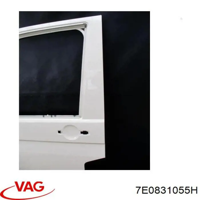 Двері передні ліві 7LA831055C VAG