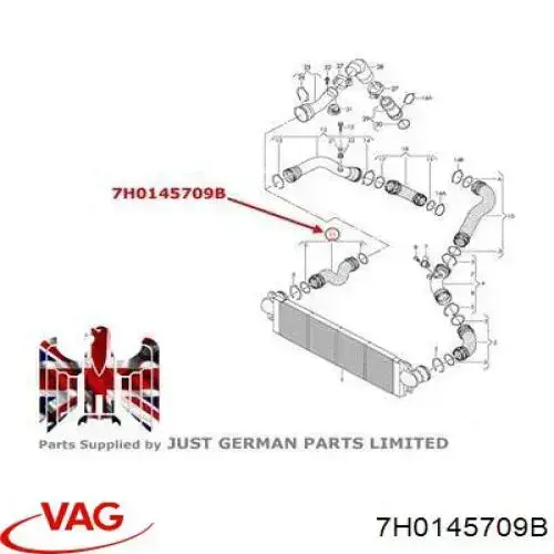 Шланг/патрубок интеркуллера 7H0145709B VAG
