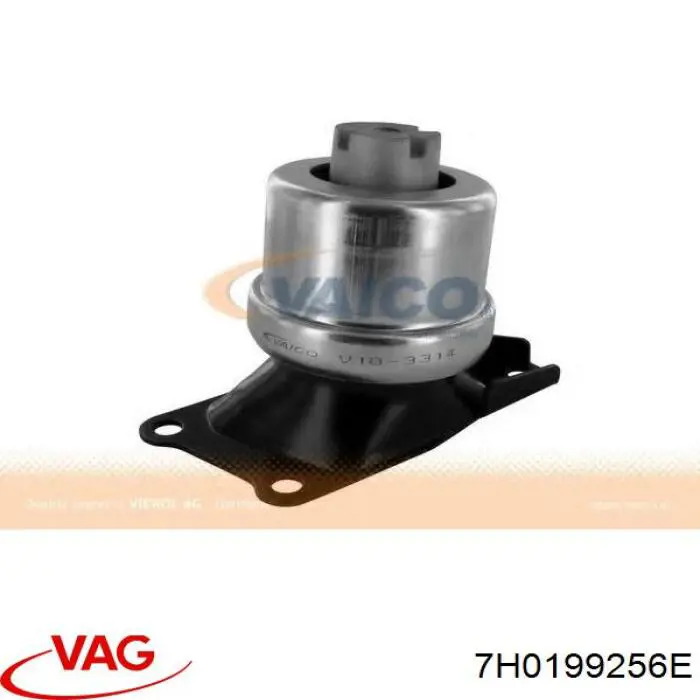 Купити 7H0199256E VAG Подушка (опора) двигуна, права